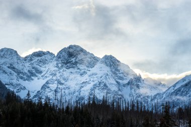 Tatra Dağı manzarası. Polonya dağında kış. Karlı zirve 