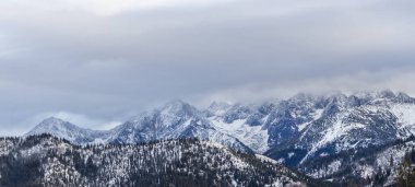 Tatra Dağı manzarası. Polonya dağında kış. Karlı zirve 