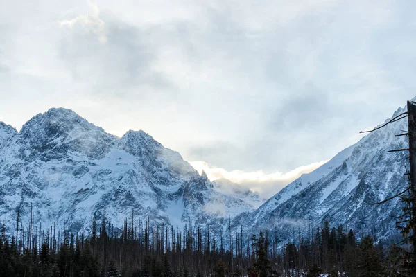 Tatra Dağı manzarası. Polonya dağında kış. Karlı zirve 