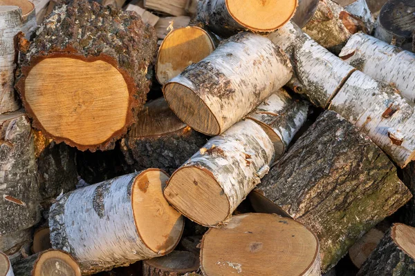Fuel Crisis Firewood Lying Order High Price Wood Forest — Foto de Stock