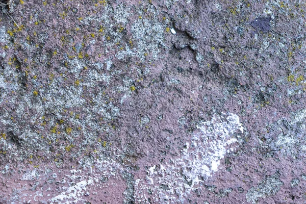 Grijze Textuur Van Een Cement Muurachtergrond Betonnen Oppervlaktepatroon — Stockfoto