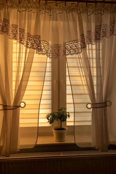 Κουρτίνα Εσωτερικό Ηλιοβασίλεμα Δωμάτιο Σπιτιού Τρέχει Φωτισμός Μέσα Από Διαφανή — Φωτογραφία Αρχείου