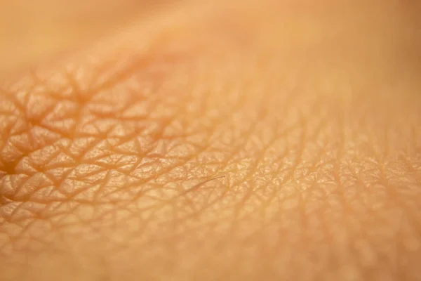 宏观人类皮肤 高加索超级大手笔 柔软而抽象的皮肤 皮肤科概念 — 图库照片