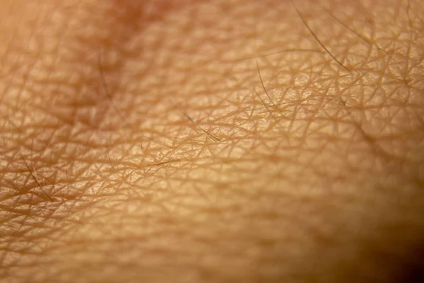 Macro Human Skin Texture Closeup Skin Pattern Medicine Healthy Surface — Stock fotografie