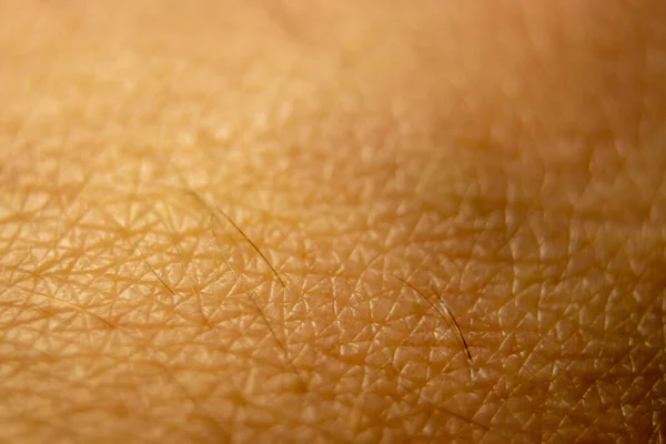 Macro Human Skin Texture Closeup Skin Pattern Medicine Healthy Surface — Foto Stock