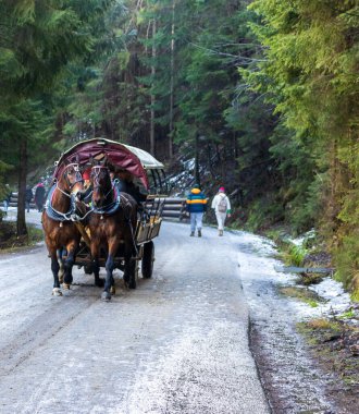 Turistlerle dolu at arabası Morskie Oko 'ya gidiyor. İnsanlar!