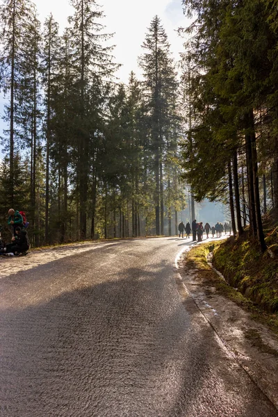 stock image Zakopane, Poland - January 7, 2023: Road to Morskie Oko in Tatra Mountains. Tourists walking on road to Morskie Oko lake. Crowd in road to Morskie Oko