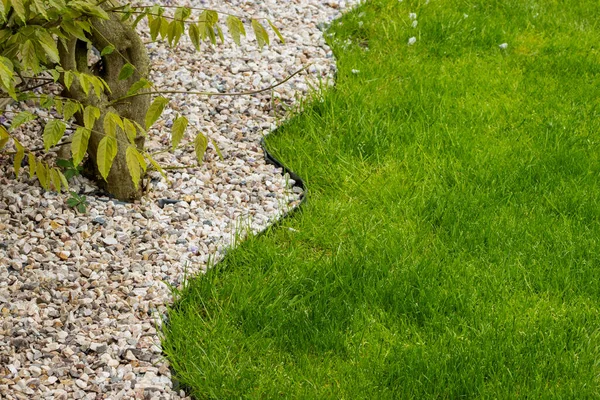 Kies Und Rasen Heimischen Garten Gartenkonzept Hintergrund Rasenkante Schließt Sommermuster Stockbild