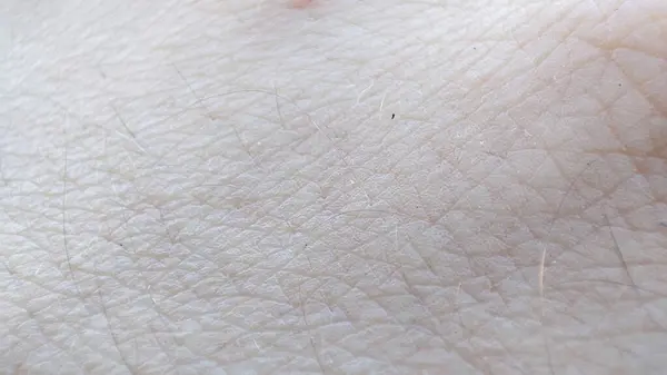 Closeup texture of human skin in detail through macro lens