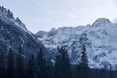 Karla kaplı ve çam yapraklarıyla çevrili görkemli dağ sıraları..