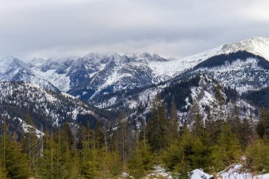 Polonya 'daki Tatra Dağları' nın nefes kesici kış manzarası.