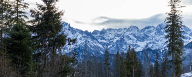 Polonya 'daki Tatra Dağları' nın silip süpüren kış manzarası.