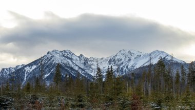 Karlı Tatra dağlarının kışın Polonya 'daki panoramik manzarası.