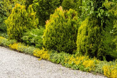 Baharda yemyeşil çalıları olan huzurlu bir ev bahçesi..