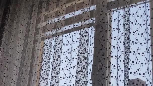 有窗帘的窗户窗户上的透明窗帘 — 图库视频影像