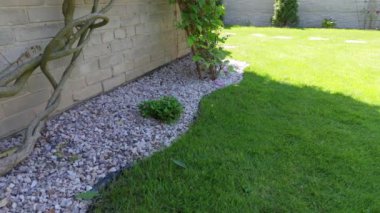 Ev bahçesindeki çakıl ve çimenler yavaş çekimde. Bahçıvanlık konsepti. Bahçe kenarı Yazın kapanıyor