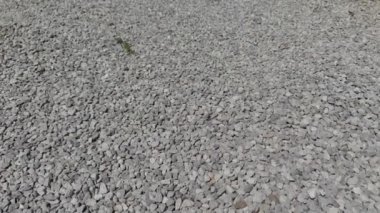Yavaş çekim çakıl dokusu. Çakıl taşı arka planı. Açık gri, yakın çekim küçük kayalar.