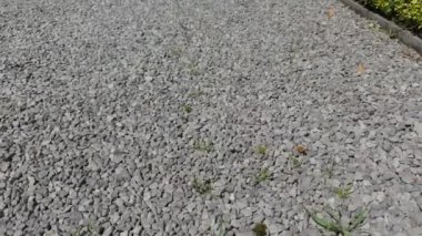 Yavaş çekim çakıl dokusu. Çakıl taşı arka planı. Açık gri, yakın çekim küçük kayalar.
