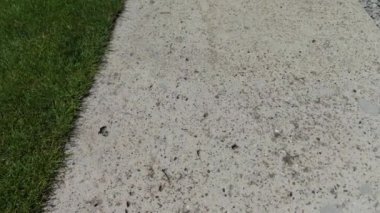 Yavaş çekim kaldırımlar ve çimenler. Yakın plan bahçe konsepti