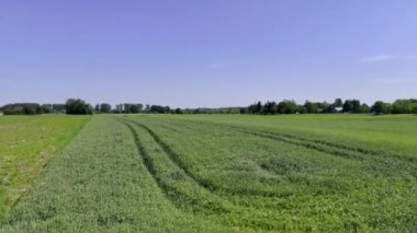 Kırsal alan, tarım arazisi. Polonya 'daki tarıma elverişli alanların insansız hava aracı görünümü