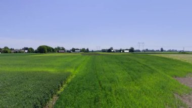 Kırsal alan, tarım arazisi. Polonya 'daki tarıma elverişli alanların insansız hava aracı görünümü