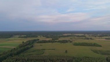 Havadan orman manzarası. Ormanda drone perspektifi