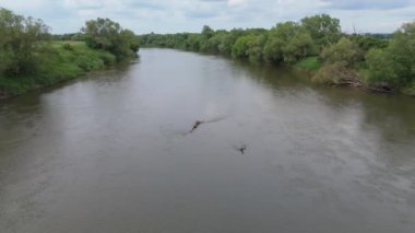 Polonya 'daki nehrin havadan görünüşü. Doğa su manzarası, yavaş çekim .
