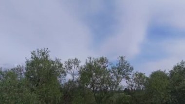 Hava manzaralı insansız hava aracı. Tarım alanları, çayırlar, güneşli bir gün