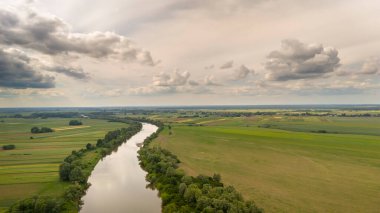 Polonya 'da yaz mevsiminde Avrupa' da nehir manzarası. Nehir aracı manzarasının güzel doğal manzarası.
