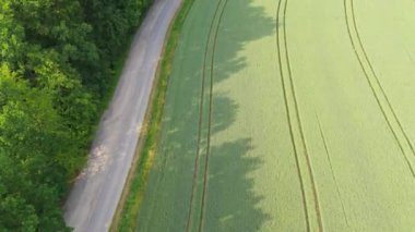 Ormandaki dolambaçlı bir yolun ve traktör izleriyle dolu bir buğday tarlasının havadan görüntüsü. Kırsal