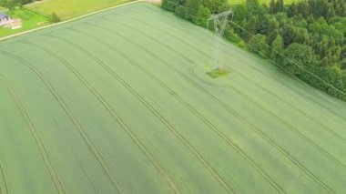 Ormandaki dolambaçlı bir yolun ve traktör izleriyle dolu bir buğday tarlasının havadan görüntüsü. Kırsal