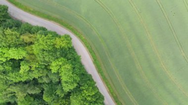 Ormandaki dolambaçlı bir yolun ve traktör izleriyle dolu bir buğday tarlasının havadan görüntüsü. Kırsal