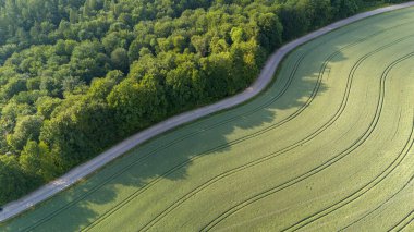 Bir buğday tarlası olan ormandaki dolambaçlı yol manzarası..