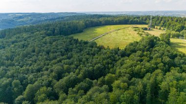 Ormanın en üst manzarası. Yeşil orman ağacının gökyüzü manzarası