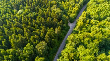 Yoğun ormanda düz yol. Yukarıdan aşağıya hava aracı görüntüsü. Hava manzaralı asfalt yoldan orman yolu görüntüsü