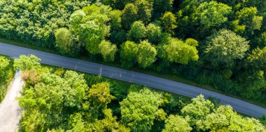 Yoğun ormanda düz yol. Yukarıdan aşağıya hava aracı görüntüsü. Hava manzaralı asfalt yoldan orman yolu görüntüsü