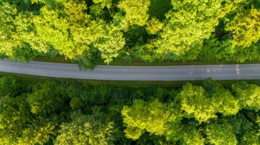 Yoğun ormanda düz yol. Yukarıdan aşağıya hava aracı görüntüsü. Hava manzaralı asfalt yoldan orman yolu görüntüsü