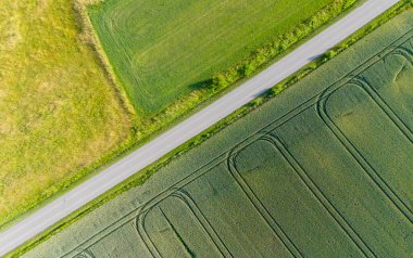 Kırsaldaki yeşil buğday tarlasında hava manzarası. Tarım endüstrisi ve gıda üretimi.