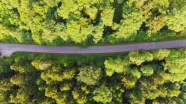 Yol boyunca giden arabaların yukarıdan aşağı manzarası. Ormana doğru bir yolculuk. Orman yolunda uçan insansız hava aracı görüntüleri.