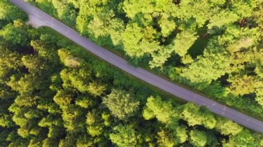 Aşağı doğru orman ve yol manzarası. Ormana doğru bir yolculuk. Orman yolunda uçan insansız hava aracı görüntüleri.