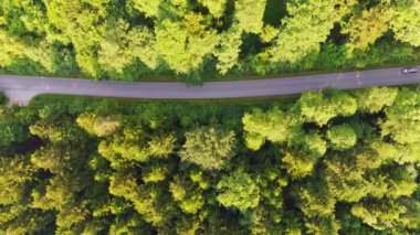 Yol boyunca giden arabaların yukarıdan aşağı manzarası. Ormana doğru bir yolculuk. Orman yolunda uçan insansız hava aracı görüntüleri.