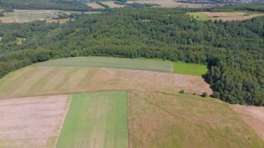 Tarım alanlarının havadan görünüşü. Drone perspektifi, kırsal