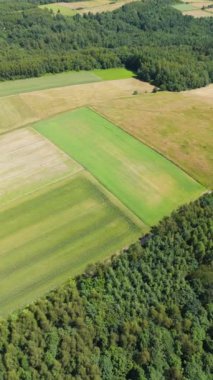 Tarım alanlarının havadan görünüşü. Drone perspektifi, kırsal
