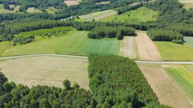 Tarım alanlarının havadan görünüşü. Drone perspektifi, kırsal