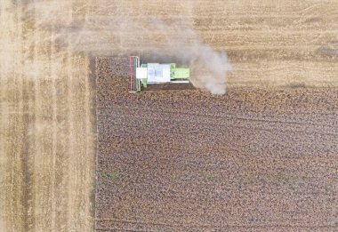 hasat buğdayını tarlada birleştirin. Üst Manzara. Tarlada çalışan hasat makinesi.