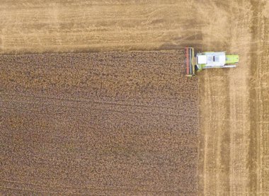 hasat buğdayını tarlada birleştirin. Üst Manzara. Tarlada çalışan hasat makinesi.