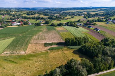Parlak bir gökyüzü altında yemyeşil alanlar, dağınık evler ve yeşil tepelerin yer aldığı pitoresk kırsal bir manzaranın havadan görünüşü. Doğa ve seyahat temaları için mükemmel.