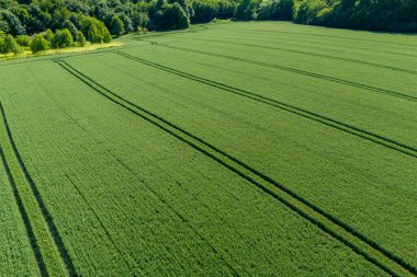 Bereketli yeşil alanların havadan görünüşü, doğanın ve tarımın güzelliğini gözler önüne seriyor. Çevre ve manzara temaları için mükemmel.