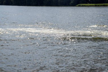 Güneş ışığı altında hafif dalgalanmalarla köpüklü su yüzeyi sakin bir doğal atmosfer yaratıyor..