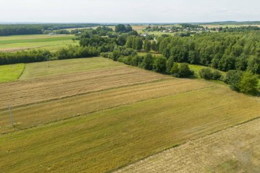 Güneşli bir günde, yeşil ağaçlı ve uzak köylü tarlalarının ve kırsal alanların havadan görünüşü